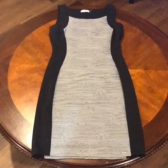 Calvin Klein Sleeveless Textured Bodycon Dress Size 4 - Picture 2 of 7